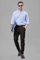 L&C Brown Plain Regular Fit Ankle Length Formal/Casual Pants For Men | Polyester Viscose Blend